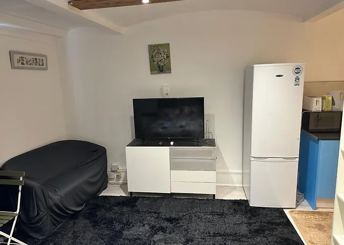 1 Bedroom Studio Central London 220